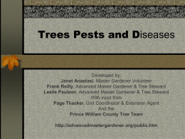 Tree Pests and Diseases - Advanced Master Gardener