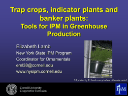 Trap Crops, Indicator Plants & Banker Plants