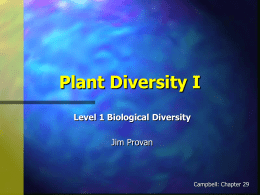Plant Diversity I