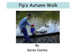 Pip`s Autumn Walk