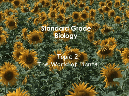 World of plants - World of Teaching