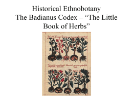 Little Book of Herbs