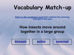 Vocabulary Match-up Click on the vocabulary word