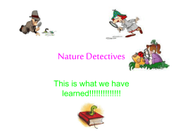 Nature Detectives - Bankhead Primary School