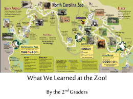 What we learned at the Zoo Finished
