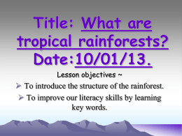 What are tropical rainforests?