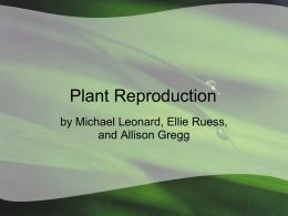 Types of Vegetative Reproduction