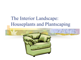 The Interior Landscape: Houseplants and Plantscaping