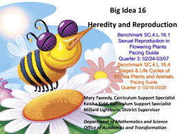 Big Idea 16 - Flowering Plant Reproduction and Life Cycle