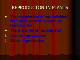 SCIENCE PROJECT ON REPRODUCTON IN PLANTS