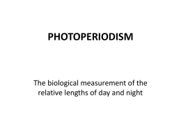 photoperiodism - MrHay