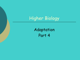 adaptation-42