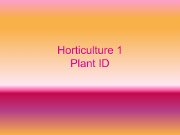 Horticulture 1 Group 2 Plant ID