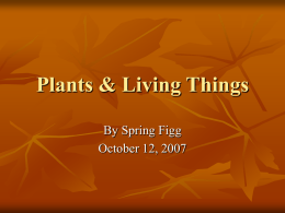Plants & Living Things - Etiwanda E