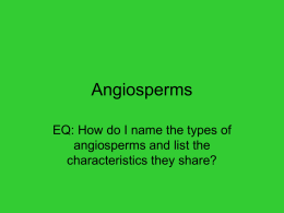 EQ: How do I name the types of angiosperms and list the
