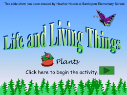 Life and Living Things: Plants