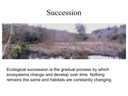 Succession powerpoint
