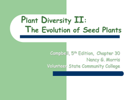 Plant Diversity I: The Colonization of Land