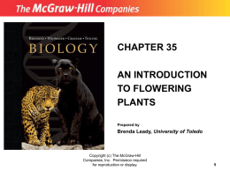 chapter 35 an introduction to flowering plants