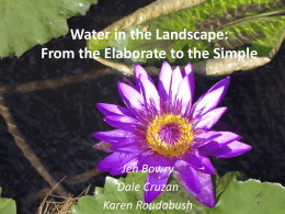Water in the Landscape: From the Elaborate to the Simple