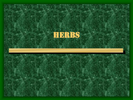 herbs - Glen Rose FFA