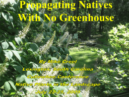 Propagating Natives With No Greenhouse