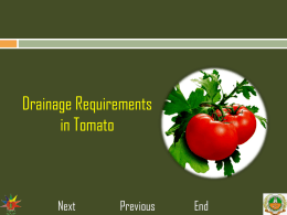 8..Drainage requirement in tomato