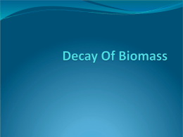Decay OF Biomass