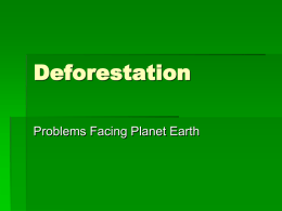 Deforestation ppt