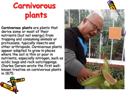 Carnivorous plants - МГ "Константин Величков"