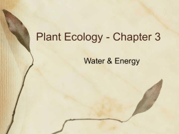 Plant Ecology - Chapter 3