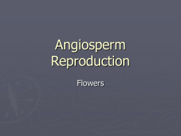 Angiosperm_Reproduction - REMC 8 / Kent ISD Moodle VLE
