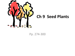 Ch 5 Seed Plants
