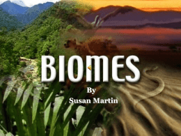 Biomes Powerpoint
