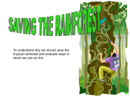 Saving_the_Rainforest