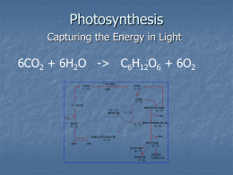 6-1 Photosynthesis