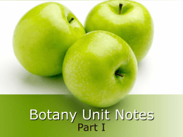 Botany Unit Notes