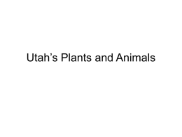 Utah`s Plants and Animals