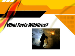 California Wildfires: Causes and Consequences