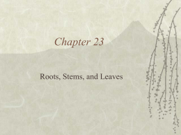 Chapter 23 - SCHOOLinSITES