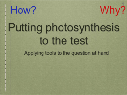Putting photosynthesis to the test