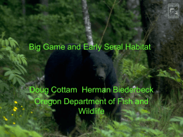 Big Game and Early Seral Habitat