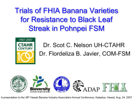 Trials of FHIA Banana Varieties for Resistance to Black Leaf Streak