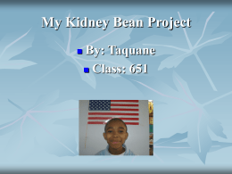 My Kidney Bean Project