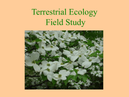 Terrestrial Ecology - MathinScience.info