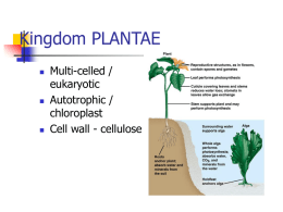 Plant Structure, Growth & Reproduction