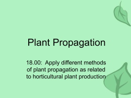 plant_prop