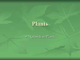 Plants - HRSBSTAFF Home Page