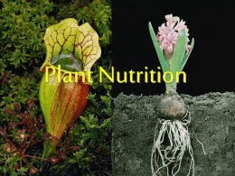 Plants require 9 macronutrients and at least 8 micronutrients