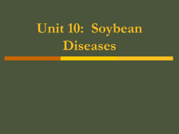 Unit 10: Soybean Diseases